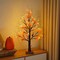 24" Lighted Fall Maple Tree with 72 LED Lights – Artificial Autumn Birch Tree Decor with Maple Leaves, Squirrels & Acorns – USB/Battery Operated Thanksgiving Tabletop Decoration with Timer